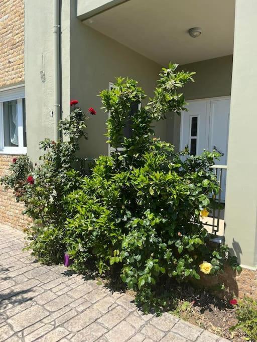 Gaia Cottage With Garden Epanomí Kültér fotó